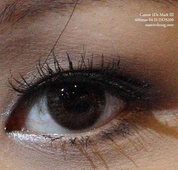 Canon EOS 1Ds Mark III sample photo 100% cropped ISO 3200 Eyes Canon EOS 1Ds Mark III sample photo 100% cropped ISO 3200 Eyes