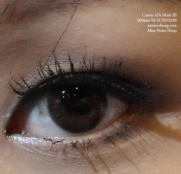 Canon EOS 1Ds Mark III sample photo 100% cropped ISO 3200 Eyes Noise Reduction Canon EOS 1Ds Mark III sample photo 100% cropped ISO 3200 Eyes Noise Reduction