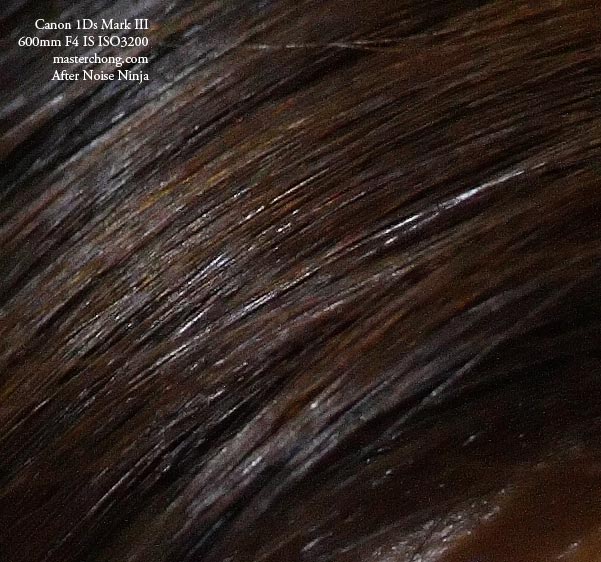 Canon EOS 1Ds Mark III sample photo 100% cropped ISO 3200 Hair Noise Reduction Canon EOS 1Ds Mark III sample photo 100% cropped ISO 3200 Hair Noise Reduction