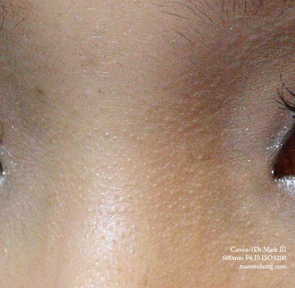 Canon EOS 1Ds Mark III sample photo 100% cropped ISO 3200 Skin Canon EOS 1Ds Mark III sample photo 100% cropped ISO 3200 Skin