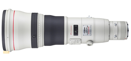 EF800mm f/5.6L IS - Top