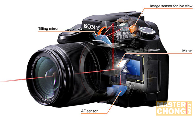 Sony Quick AF Live View