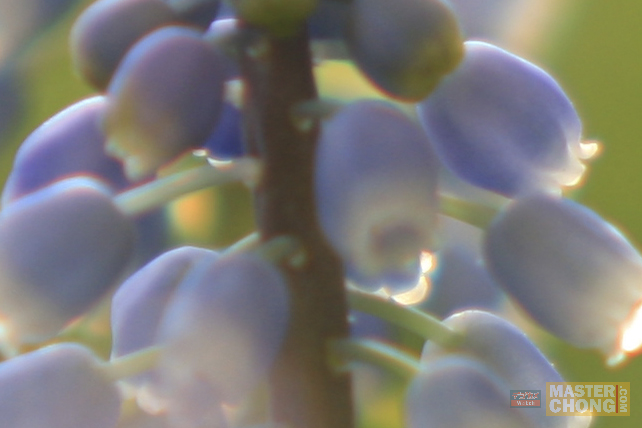 Sigma APO 50-150mm F2.8 II Purple